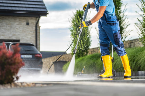 Best Gutter Cleaning  in Tladega, AL